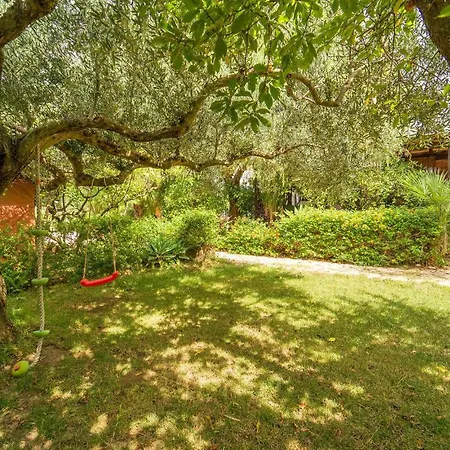 Lovely In With Wifi Menfi